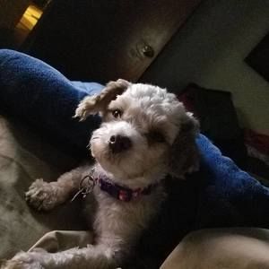 Meet your Posher, Doreen